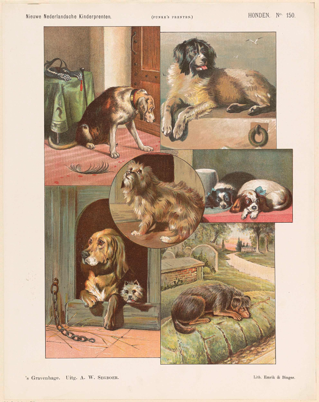 Eine Buchseite, die verschiedene Hunderassen mit begleitendem Text zeigt, der ihre Eigenschaften beschreibt.