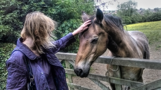 Eine Frau in einer blauen Weste und Handtasche steht neben einem Pferd vor einem Holztor, mit Bäumen und Gras im Hintergrund.