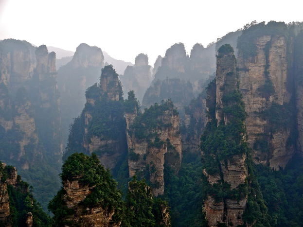 Ein dichter Wald bedeckt zahlreiche Berge.
