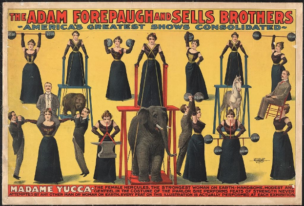 Plakat für "Adam Forepaugh und Sells Brothers, Americas Greatest Shows Consolidated" mit einer Gruppe von Menschen auf Hockern und einem Elefanten in der Mitte, einige halten Gegenstände und es gibt Text.