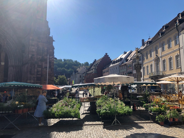 Eine lebhafte Marktszene in Heidelbergs Altstadt mit Menschen, Tischen voller Blumentöpfe, Schirmen und Gebäuden unter einem klaren blauen Himmel.