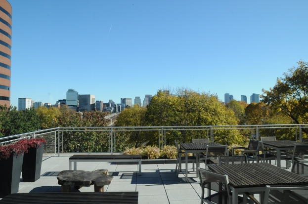 Ein Restaurantinnenraum mit Tischen und Stühlen, einer Pflanze und Blumentopf auf der linken Seite, Gebäuden und Bäumen, die durch Fenster zu sehen sind, und dem Himmel oben.