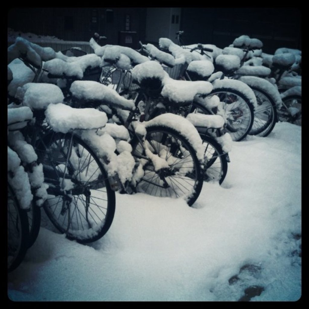 Mehrere Fahrräder liegen auf dem Boden, alles mit Schnee bedeckt.