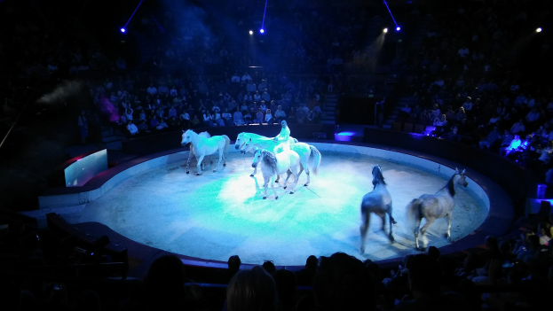 Eine Gruppe von Menschen reitet auf einer Bühne, beleuchtet von Scheinwerfern, während das Publikum aus Sitzen zusieht.