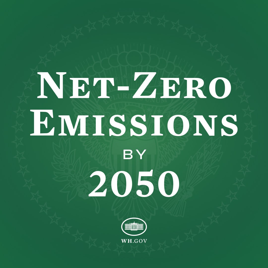 Grüner Hintergrund mit fettem weißem Text, der "netto-null-Emissionen bis 2050" liest.