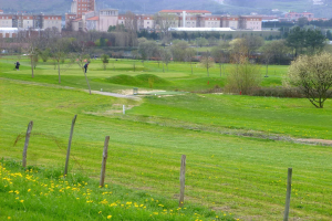 Golfplatz mit saftig grünem Rasen, hohen Bäumen, gelben Blumen im Vordergrund, Gebäuden und wolkenlosem Himmel im Hintergrund sowie Menschen, die Golf spielen.