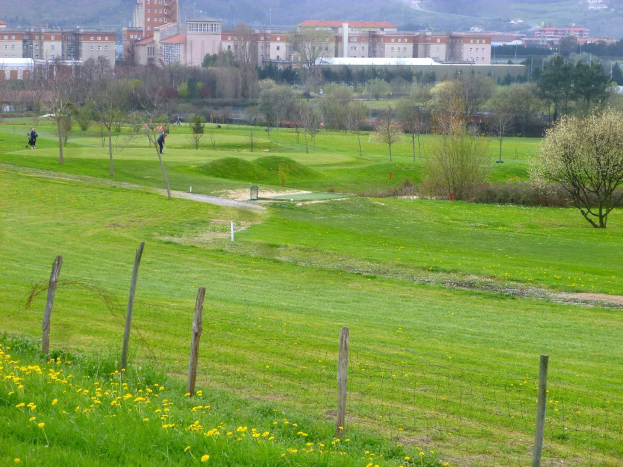 Golfplatz mit saftig grünem Rasen, hohen Bäumen, gelben Blumen im Vordergrund, Gebäuden und wolkenlosem Himmel im Hintergrund sowie Menschen, die Golf spielen.