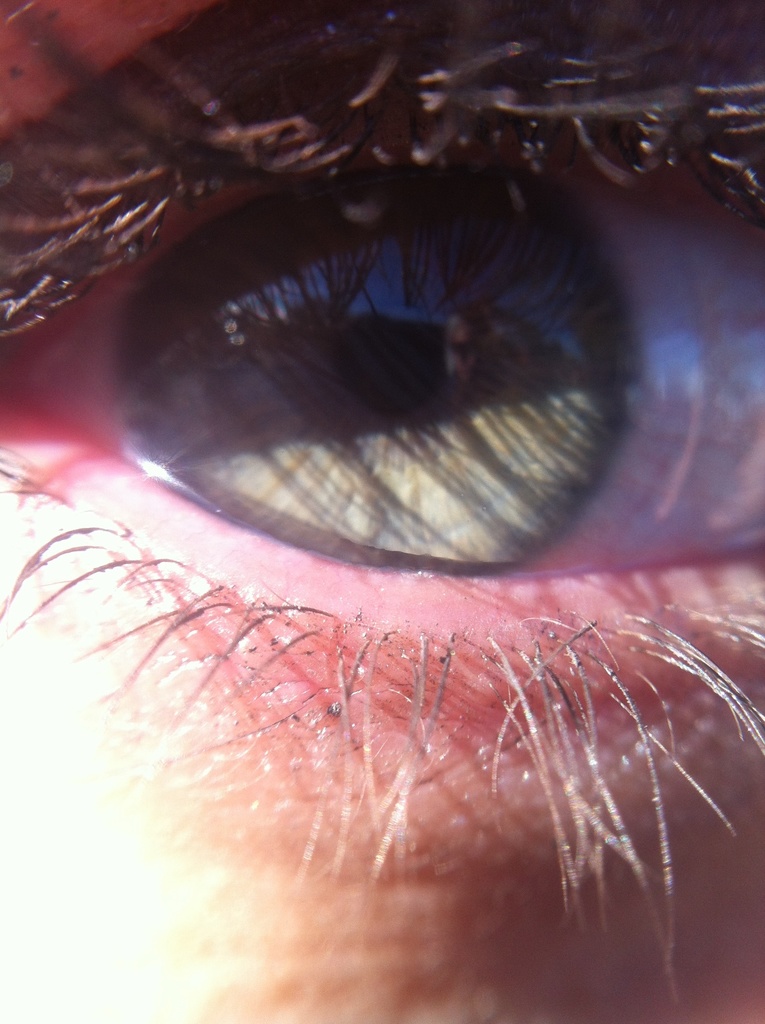 Ein Nahaufnahme eines Menschenauges und Wimpern.