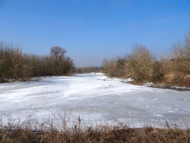 Ein zugefrorener Fluss umgeben von Bäumen und Pflanzen, mit einem klaren Himmel im Hintergrund, bedeckt von einer dicken Eisschicht.