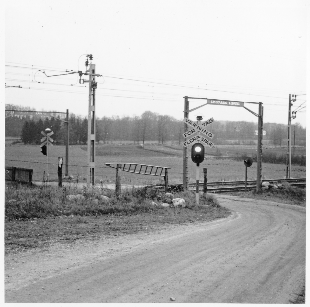 Ein Schwarz-Weiß-Foto eines Bahnübergangs mit Gleisen, Strommasten mit Drähten auf beiden Seiten, Bäumen und einem klaren Himmel im Hintergrund.