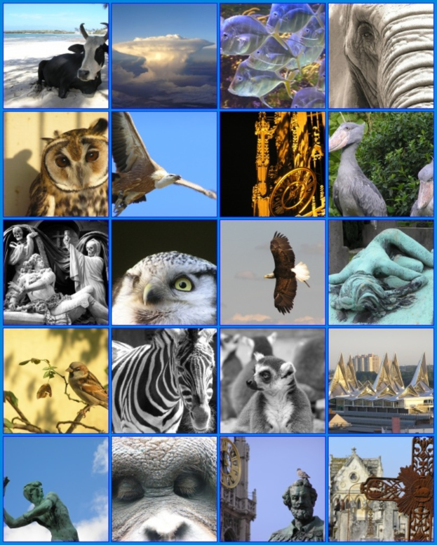 Ein Collage mit verschiedenen Tieren wie Kühen, einem Zebra und einer Eule, sowie mehreren Skulpturen.