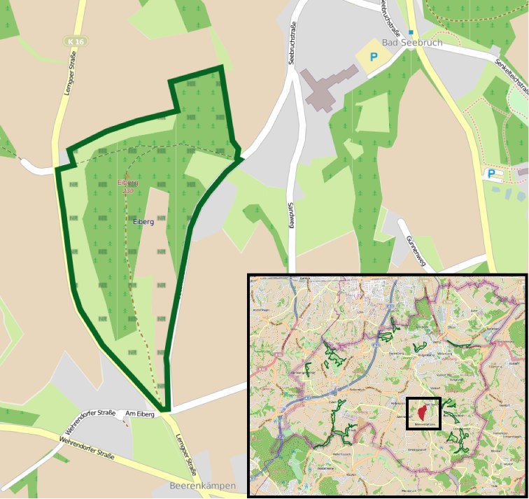 Detailierte Stadtkarte mit einem zentralen grünen Bereich, der als geplanter Entwicklungsstandort markiert ist, umgeben von Straßen, Gebäuden und Sehenswürdigkeiten.