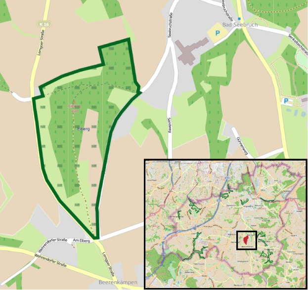 Detailierte Stadtkarte mit einem zentralen grünen Bereich, der als geplanter Entwicklungsstandort markiert ist, umgeben von Straßen, Gebäuden und Sehenswürdigkeiten.
