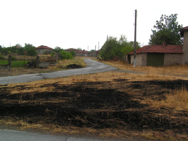 Ein Wohngebiet mit Häusern, Bäumen, Pflanzen, trockenem Gras und mehreren Masten.
