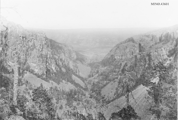 Schwarz-weiß-Foto eines Canyons mit der Beschriftung "Canyon of the Gods", das Bäume, Hügel und Himmel zeigt.