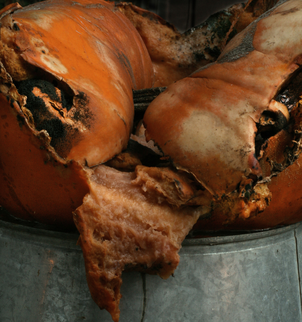 Ein Fleischstuck liegt auf einem Tisch.