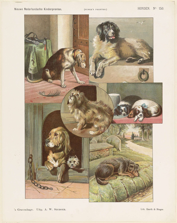 Eine Buchseite mit verschiedenen Hunderassen und begleitendem Text.