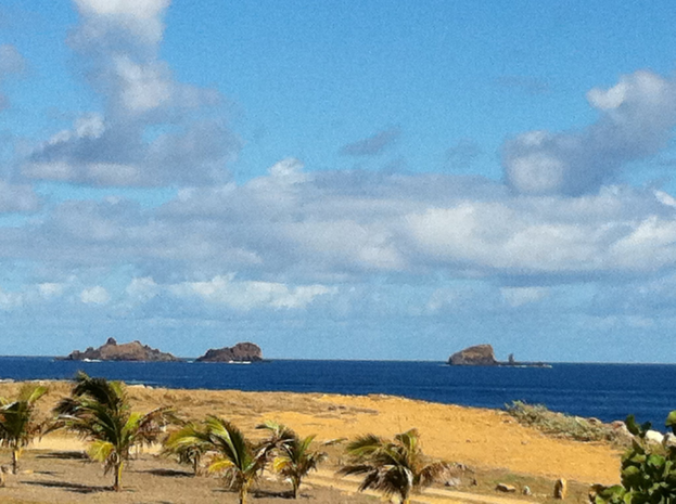 Eine Strandszene mit Palmen, grünem Gras, einem blauen und weißen Himmel und fernen Bergen auf Lanzarote.