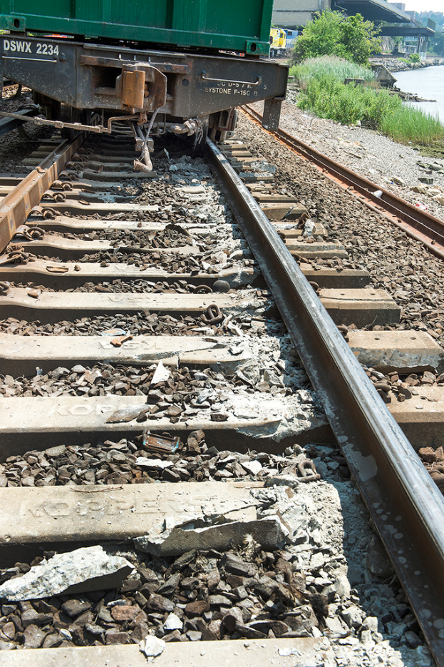 Ein Zug auf einem Eisenbahn Gleis mit grünen Pflanzen auf der rechten Seite.