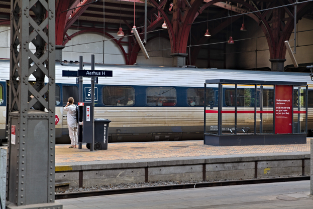 Ein Zug, der auf einem Bahnsteig hält, wo eine Person steht, mit einem Müllcontainer, Pfosten, Informationsanzeigen und Deckenleuchten zu sehen ist.