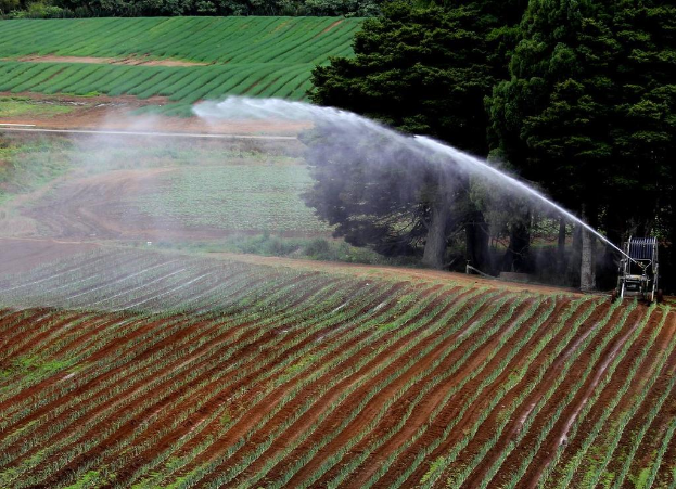 Landwirtschaftliches Feld mit verschiedenen Kulturen, eine Bewässerungsmaschine im Vordergrund und eine Reihe von Bäumen mit weiteren Kulturen im Hintergrund.