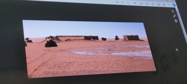 Ein Computerbildschirm, der eine Wüstenlandschaft mit Sand, Bäumen, Häusern und einem sichtbaren Himmel im Hintergrund anzeigt.